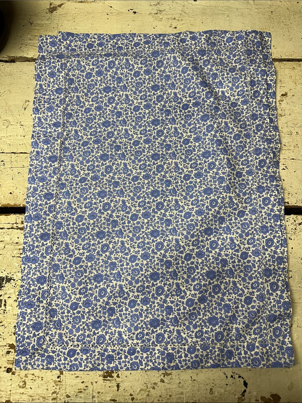 J. Crew Blue Floral Placemats and Napkins - set of 4